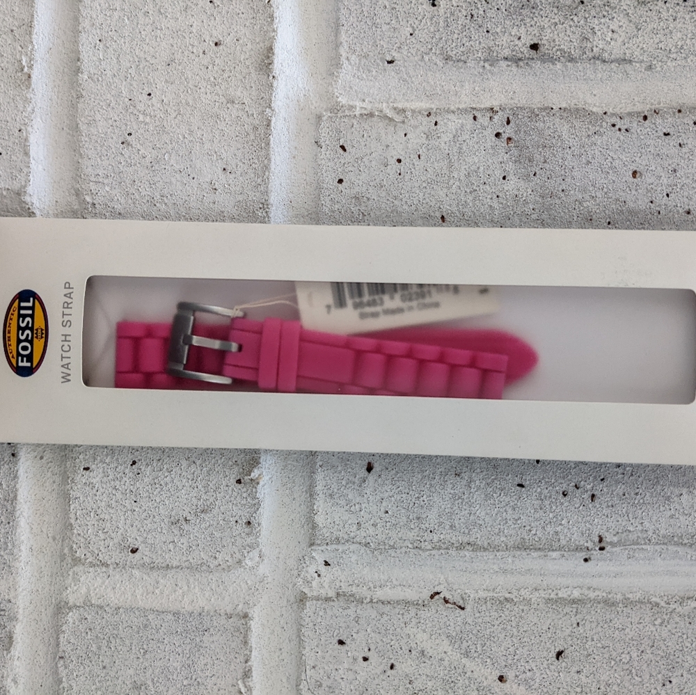 Fossil Watchband